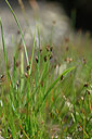 BUITEN BEELD Foto: 447100