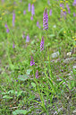 BUITEN BEELD Foto: 447101