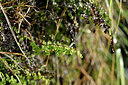 BUITEN BEELD Foto: 447102