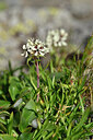 BUITEN BEELD Foto: 447103