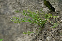 BUITEN BEELD Foto: 447105