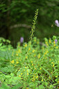 BUITEN BEELD Foto: 447106