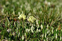 BUITEN BEELD Foto: 447107