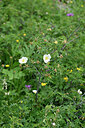 BUITEN BEELD Foto: 447111