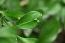 BUITEN BEELD Foto: 447113