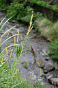 BUITEN BEELD Foto: 447117