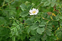 BUITEN BEELD Foto: 447124