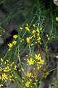 BUITEN BEELD Foto: 447125