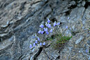 BUITEN BEELD Foto: 447130
