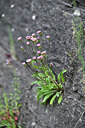 BUITEN BEELD Foto: 447132