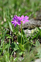 BUITEN BEELD Foto: 447137