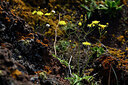 BUITEN BEELD Foto: 447144