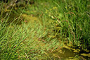 BUITEN BEELD Foto: 447147