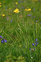 BUITEN BEELD Foto: 447151