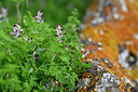 BUITEN BEELD Foto: 447152