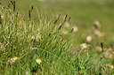 BUITEN BEELD Foto: 447153