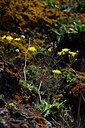 BUITEN BEELD Foto: 447158