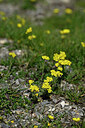 BUITEN BEELD Foto: 447159