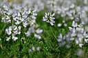 BUITEN BEELD Foto: 447161