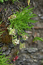 BUITEN BEELD Foto: 447162