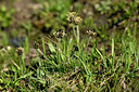 BUITEN BEELD Foto: 447163