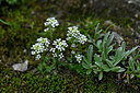 BUITEN BEELD Foto: 447166