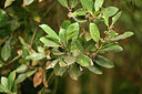BUITEN BEELD Foto: 447167