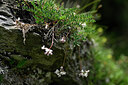 BUITEN BEELD Foto: 447170