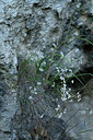 BUITEN BEELD Foto: 447171