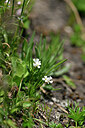 BUITEN BEELD Foto: 447174