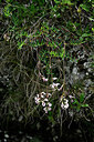 BUITEN BEELD Foto: 447175