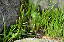 BUITEN BEELD Foto: 447176