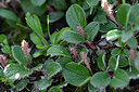 BUITEN BEELD Foto: 447185