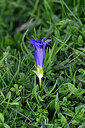 BUITEN BEELD Foto: 447192