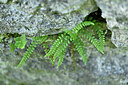 BUITEN BEELD Foto: 447193