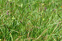 BUITEN BEELD Foto: 447196