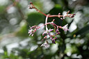 BUITEN BEELD Foto: 447205