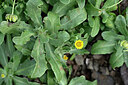 BUITEN BEELD Foto: 447208