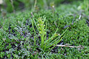 BUITEN BEELD Foto: 447214