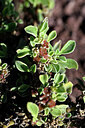 BUITEN BEELD Foto: 447215