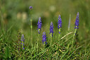 BUITEN BEELD Foto: 447216