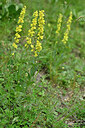 BUITEN BEELD Foto: 447218
