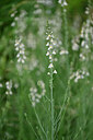 BUITEN BEELD Foto: 447222
