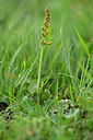 BUITEN BEELD Foto: 447225