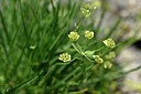 BUITEN BEELD Foto: 447235