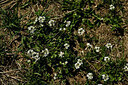 BUITEN BEELD Foto: 447236