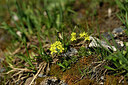 BUITEN BEELD Foto: 447240