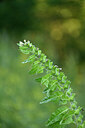 BUITEN BEELD Foto: 447256