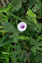 BUITEN BEELD Foto: 447257