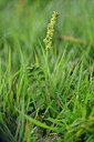 BUITEN BEELD Foto: 447259